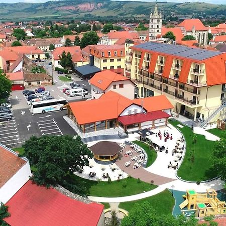 Hotel Leul De Aur Sebeş エクステリア 写真
