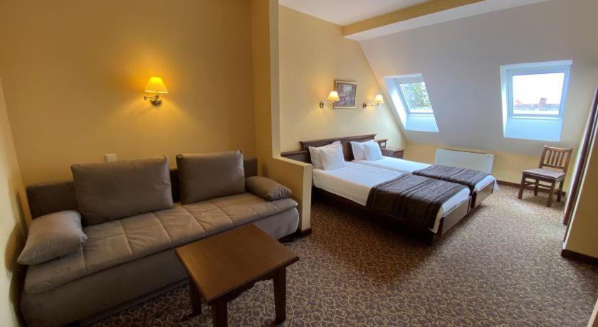 Hotel Leul De Aur Sebeş エクステリア 写真
