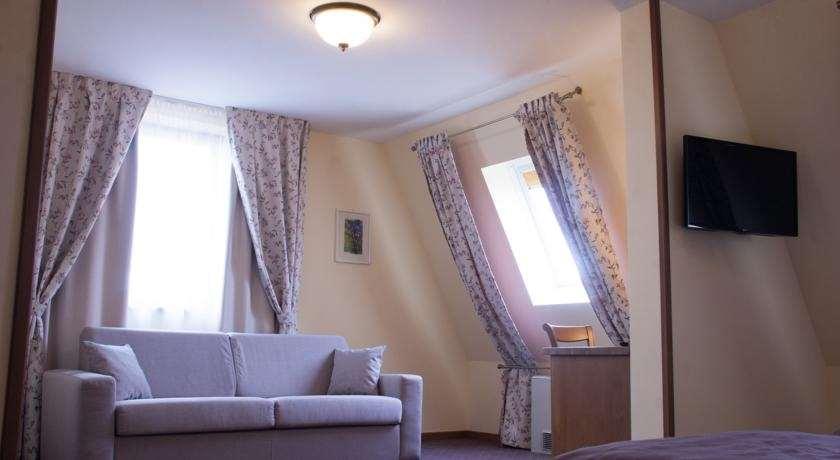 Hotel Leul De Aur Sebeş 部屋 写真